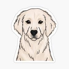 Our puppies are friendly, intelligent, affectionate and have great personalities. White Golden Retriever Gifts Merchandise Redbubble