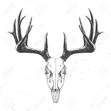 Black And White Deer Skull Tattoo Pin By Nesmith On Her Tongue Was Tattooed On The Back Of Her Teeth Deer Skull Tattoos Deer Skull Drawing Skull Art Animal