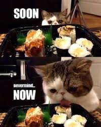 22 Sushi Humor Ideas Sushi Humor Sushi Love