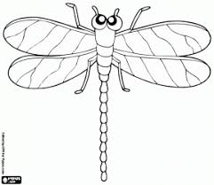Malvorlage Marienkafer Ausmalbilder Insekten Und Andere Kleine Tiere Malvorlagen Malvorlagen Tiere Ausmalbilder Holz Gravieren Vorlagen