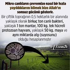 Esra Toprak Adli Kullanicinin Allah Mukemmel Yaratiyor Panosundaki Pin Goruntuler Ile Hayvan Ciftlikler Allah