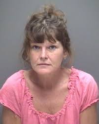 Name WHEELER, NATALIE LARKIN Sex FEMALE Race WHITE Booking Date 2/2/2021  Release Date Total Bond Amount $6,000.00 Chrages