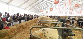 Venez la découvrir au pavillon 1, sur l'espace delaval. Siam 15th Edition 2020 International Exhibition Of Agriculture In Morocco Siam 15 Eme Edition Du 14 Au 19 Avril 2020