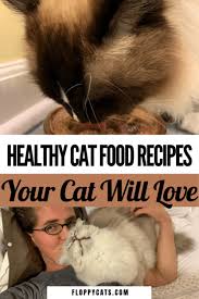 Whether its due to medical reasons or a picky eater, making your own cat food i will cook one, discard the bones and skin, dice it up and feed it to my cats, twice a day, instead of their can food. 3 Diy Homemade Cat Food Recipes That Are Healthy Too Floppycats