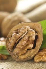 Aliments Riches En Calcium Les Noix Aliments Riches En Calcium Alimentation Alimentation Et Nutrition