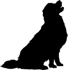 Golden Retriever Silhouette Photos Royalty Free Images Graphics Vectors Videos Adobe Stock The breed's friendly, tolerant attitude makes them great family pets, and their golden retrievers excel at retrieving game for hunters, tracking, sniffing out contraband for law enforcement, and as therapy and service dogs. golden retriever silhouette photos