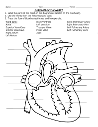 Pin By Julie Furry On Paramedic School Heart Diagram Human Heart Diagram Simple Heart Diagram