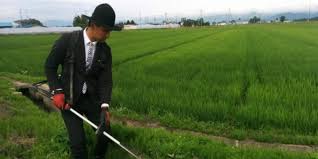 Kumpulan gambar karikatur lucu kartun karikatur politik via www.gambarzoom.com. Jokowi Dan Mimpi Petani Berdasi Geotimes