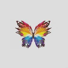❤ get the best butterfly wallpaper hd on wallpaperset. Butterfly Ipad Wallpapers Top Free Butterfly Ipad Backgrounds Wallpaperaccess