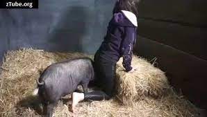 @villanicedric vante d'autres liens avec l'animal. Zoobeg Farm Gangbang With Pig And Dogs Zootube Videos