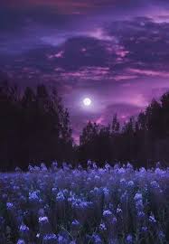 Pin On Art Photos Moonlight Night