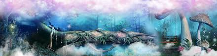 شوكي جراد البحر جراد البحر القشريات الماء الخلفية Fantasy Background Cute Backgrounds Free Background Photos