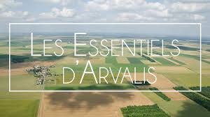 Viele übersetzte beispielsätze mit pommes de terre pommes de terre substantiv, plural, feminin—. Pomme De Terre Lutter Efficacement Contre Le Mildiou