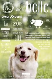 Check spelling or type a new query. 5 Ideas To Boost Adoptions At Your Animal Shelter Or Rescue Mobilecause Blog
