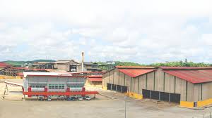Large existing and rapidly emerging new demand exists for these products in additives, lubricants, renewable biodiesel and. Biofuels Bioenergy Consult
