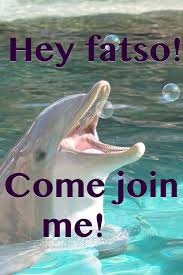 Bad Dolphin Meme 4a He S Developed A Taste For Humans Animals Humor Dolphin Memes Funny Animals Animal Memes