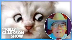 Lawyer accidentally appears in online court with a cat filter over his face. Texas Lawyer Explains Viral Cat Face Filter Zoom Mishap Youtube