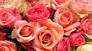 Save up to 30% + free s&h. Top Spots 5 Of The Best Local Wedding Florists In Columbus