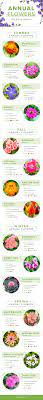 Check spelling or type a new query. 20 Annual Flowers For Every Season Proflowers