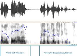 Language Log » Language as a (nonviolent) weapon