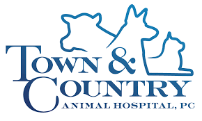 At home veterinary care, roaring spring, pennsylvania. Home Town And Country Animal Hospital Pc Warriors Mark Pa