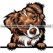 Australian Shepherd Dog Breed Peeking Color Clipart Svg Australian Shepherd Dogs Shepherd Dog Breeds Australian Shepherd