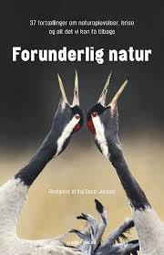 Image result for Cydia microgrammana