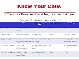 Plant And Mammalian Tissue Culture Mammalian Cell Culture Ppt Download