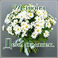 Узнайте о праздниках, которые отмечают 24 июня. 24 Iyunya Den Romashki Postcard Holiday Flowers
