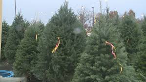 Please be sure to check the measurements before purchasing! Fresh Christmas Tree Shopping Has Begun Wgrz Com