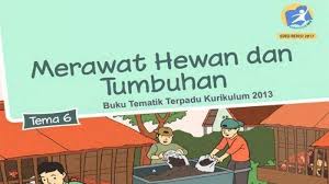 Check spelling or type a new query. Kunci Jawaban Tema 6 Kelas 2 Sd Halaman 133 137 Buku Tematik Merawat Hewan Dan Tumbuhan Tribun Manado