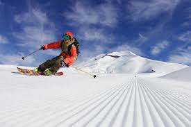 Image result for skiing