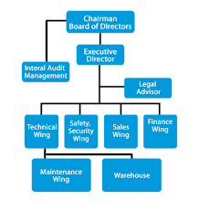 Organisational Chart Blue Sky