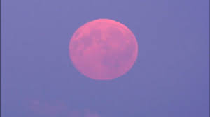 Et — but it won't actually be pink. Super Pink Moon Will Be The Biggest Super Moon In 2020 Will Be Observed Tomorrow Somag News