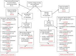 a flow chart indicating the outcome of 360 dogs randomized