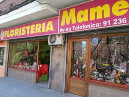 Floristeria Mamen
