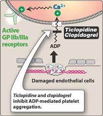 Pin On Clotting