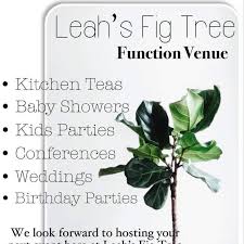 Fig tree, fig, common fig. The Little Party Place On Lynnwood Home Facebook
