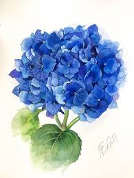 In this bundle there are: Original Blue Hydrangea Watercolor Still Life Flower Illustration Botanical Art Gift Wall Decor Botanical Painting Flower Painting Botanical Art