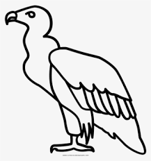 Discover more posts about buzz buzzard. Condor Drawing Vulture Evil Vulture Cartoon Transparent Png 522x455 Free Download On Nicepng