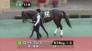 Tiktokについて ニュースルーム 連絡先 採用 bytedance. ã‚¨ãƒ«ãƒ ã‚¹ãƒ†ãƒ¼ã‚¯ã‚¹2021ç‰¹é›† Netkeiba Com ç«¶é¦¬äºˆæƒ³ çµæžœ é€Ÿå ± ã‚ªãƒƒã‚º å‡ºé¦¬è¡¨ å‡ºèµ°äºˆå®šé¦¬ é¨Žæ‰‹ æ‰•æˆ»ãªã©ç«¶é¦¬æœ€æ–°æƒ…å ±