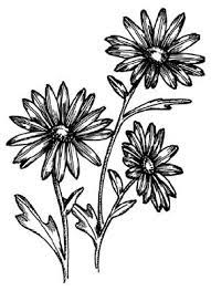 Daisy flower with leaf, watercolor hand drawn chamomile. How To Draw A Daisy Howstuffworks