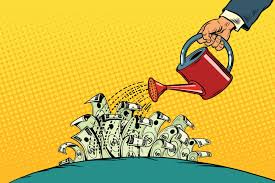 Image result for january dive money