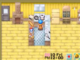 Cara Membuat Pagar Di Harvest Moon Mineral Town Pagar Rumah