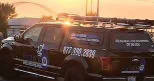 Pointe pest control has the experts you need to live a pest free life. Contact Our Team Call Now To Speak With Our Pnw Pest Control Company Pestlock