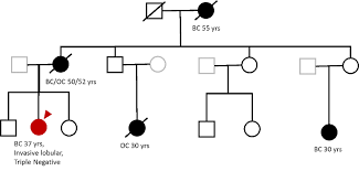 When the term ovarian cancer is used, it includes both fallopian tube and peritoneal cancers, because it may be unclear where the cancer started. Toolbox For Genetic Risk Prediction