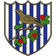 'the west brom' is a trading name of west bromwich building society. Fc West Bromwich Albion Brands Of The World Download Vector Logos And Logotypes