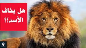 اسم عبد المطلب شيبة بن هاشم، وهاشم اسمه عمرو بن عبد مناف، وعبد مناف اسمه المغيرة بن قصيٍّ، وقصيٌّ اسمه زيد بن كلاب بن مرَّة بن كعب بن لؤي. Ù…Ø§ Ù‡Ùˆ Ø§Ù„Ø­ÙŠÙˆØ§Ù† Ø§Ù„Ø°ÙŠ ÙŠØ®Ø§Ù Ù…Ù†Ù‡ Ø§Ù„Ø£Ø³Ø¯ Ø­Ù‚Ø§Ø¦Ù‚ ØºØ±ÙŠØ¨Ø© ÙˆÙ…Ù…ØªØ¹Ø© Ù„Ø§ ØªØ¹Ø±ÙÙˆÙ†Ù‡Ø§ Ø¹Ù† Ø§Ù„Ø£Ø³ÙˆØ¯ Youtube