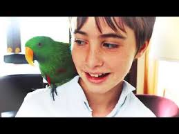 2017 AAHSFF Middle School Award "Goodbye Sam' by Theo Taplitz