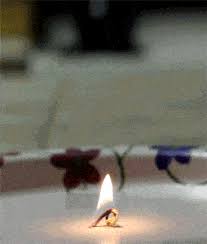 You Are The One You Ve Been Waiting For Gif Https Encrypted Tbn0 Gstatic Com Images Q Tbn 3aand9gcq4r8kjig0rkbvhzju6jjprfgdg9 Spt7edvg Usqp Cau